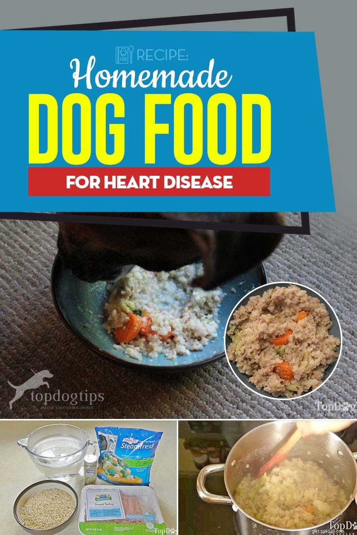 Recette :Nourriture maison pour chiens contre les maladies cardiaques