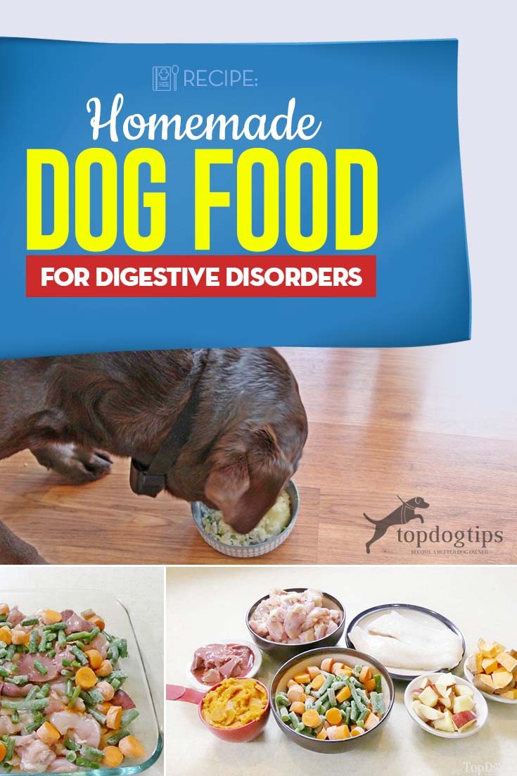 Receita:comida caseira para cães para distúrbios digestivos