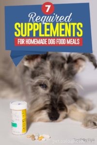 7 основных пищевых добавок для собак домашнего приготовления