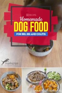 조리법:IBD, IBS 및 대장염을 위한 집에서 만든 개밥 