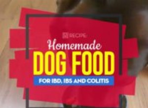 Receita:Comida de cachorro caseira para IBD, IBS e colite 