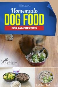 레시피:췌장염을 위한 집에서 만든 개밥