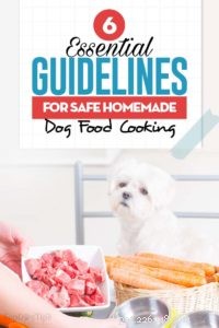安全な自家製ドッグフード調理のための6つの栄養ガイドライン 