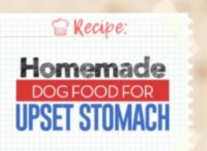 レシピ：胃のむかつきのための自家製ドッグフード 