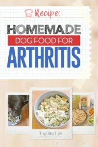 Receita:comida caseira para cães para artrite