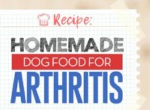 Recette :Nourriture maison pour chien contre l arthrite