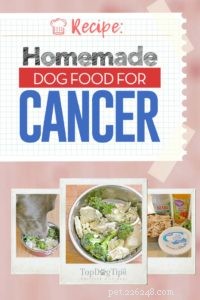 Ricetta:cibo per cani fatto in casa contro il cancro