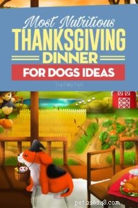 8 Idéias DIY para o Jantar de Ação de Graças para Cães (com sobras de ingredientes)