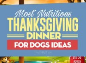 8 vlastních nápadů na děkovnou večeři pro psy (se zbylými přísadami)