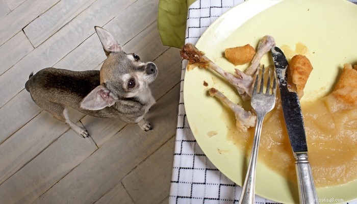 8 DIY Thanksgiving-diner voor hondenideeën (met overgebleven ingrediënten)