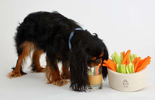 25 deliciosas receitas caseiras de jantar de Ação de Graças para cães