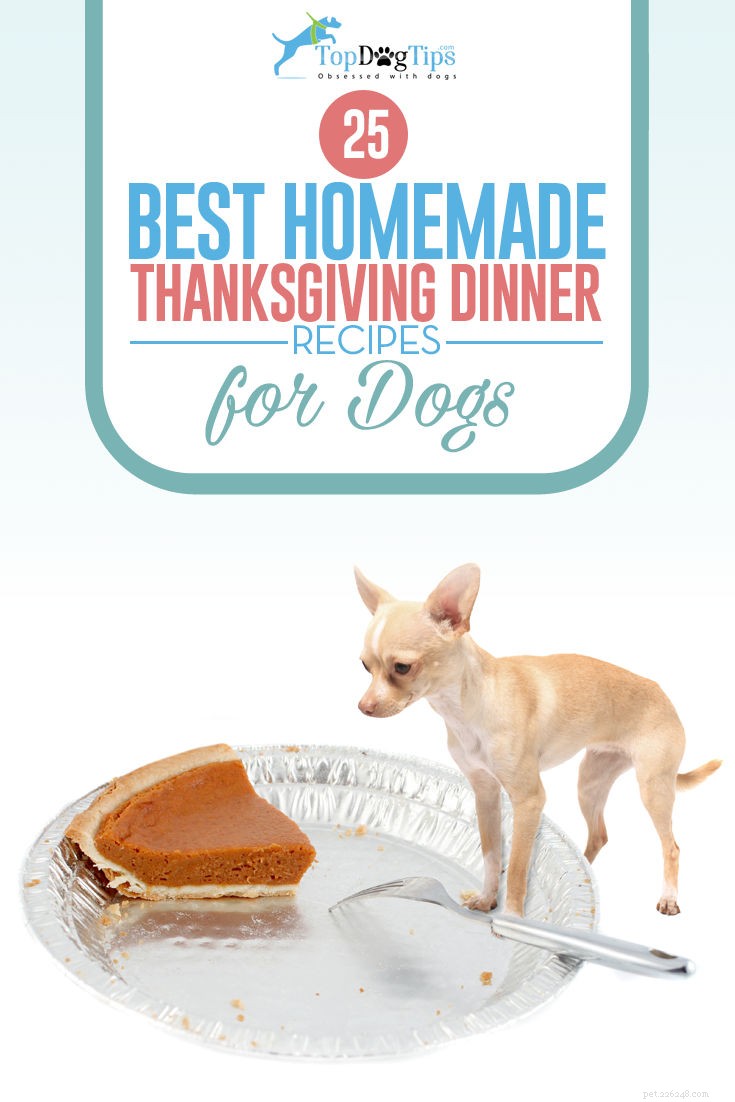 犬のための25のおいしい自家製感謝祭のディナーレシピ 