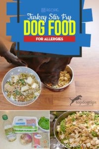Ricetta:cibo per cani saltato in padella con tacchino per le allergie