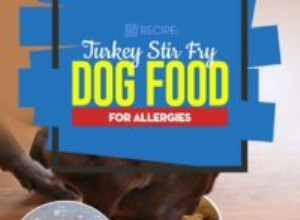 Recette :Nourriture pour chiens sautés à la dinde contre les allergies