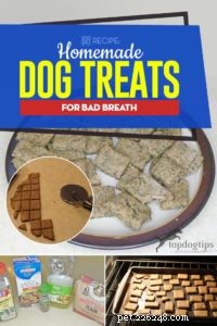 Recept:zelfgemaakte hondensnoepjes voor een slechte adem