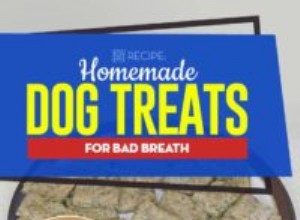 Recept:Hemlagad hundgodis för dålig andedräkt