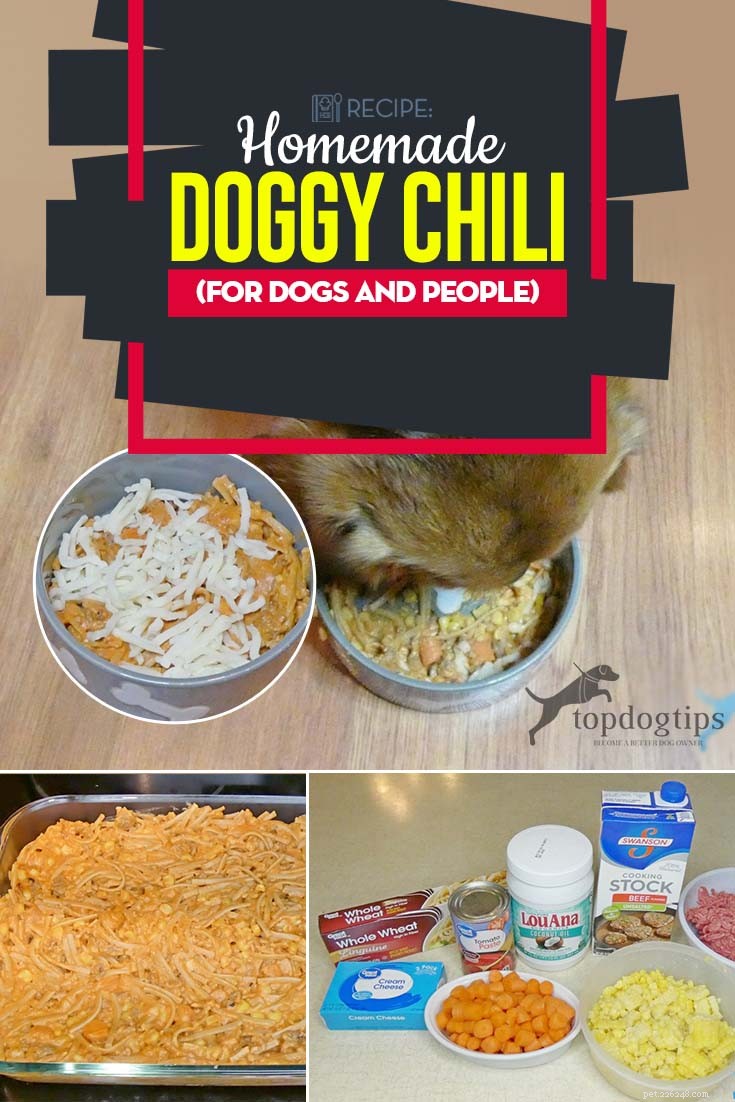 Recept:Homemade Doggy Chili (voor pups en mensen)