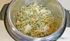 Recept:Krmivo pro psy v tlakovém hrnci s kuřecím masem a rýží