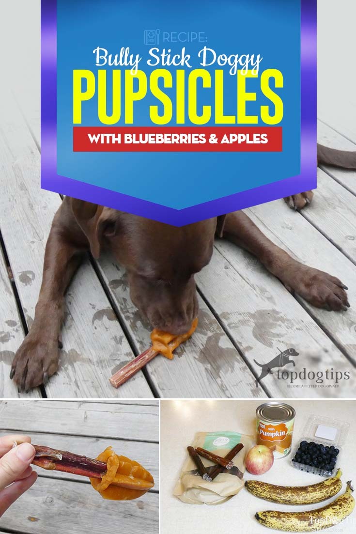 레시피:Bully Stick Doggy Pupsicles with Blueberry &Apples