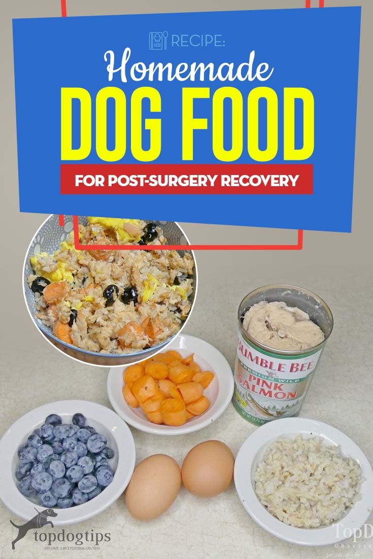 Receita:comida caseira para cães para recuperação pós-cirurgia