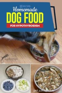 Ricetta:cibo per cani fatto in casa per l ipotiroidismo