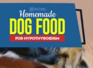 Receita:comida caseira para cães para hipotireoidismo