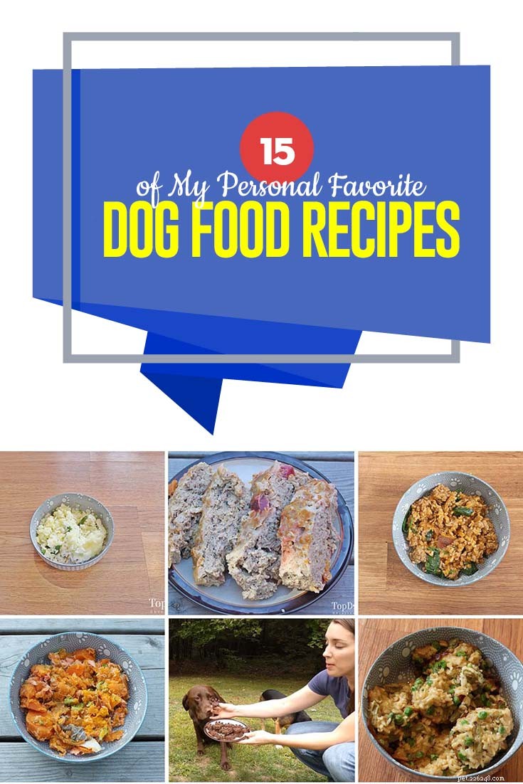15 de mes recettes d aliments pour chiens préférées
