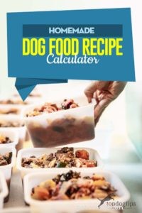 Calculatrice d aliments pour chiens faits maison 