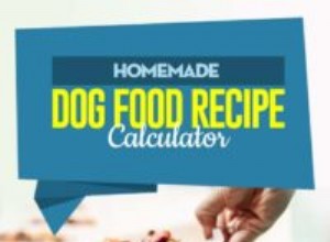 Kalkulačka domácího krmiva pro psy