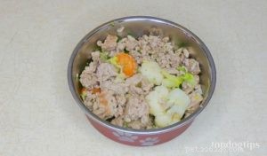 레시피:피부 알레르기를 위한 수제 개밥