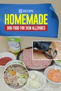 Recette :Nourriture maison pour chiens contre les allergies cutanées