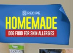 Recept:Domácí krmivo pro psy pro kožní alergie