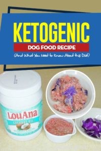 Рецепт кетогенного корма для собак (и что вам нужно знать об этой диете)