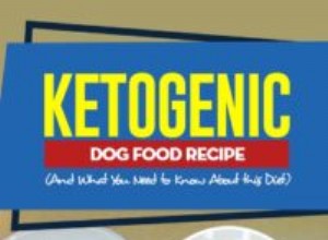 Receita de comida cetogênica para cães (e o que você precisa saber sobre esta dieta)