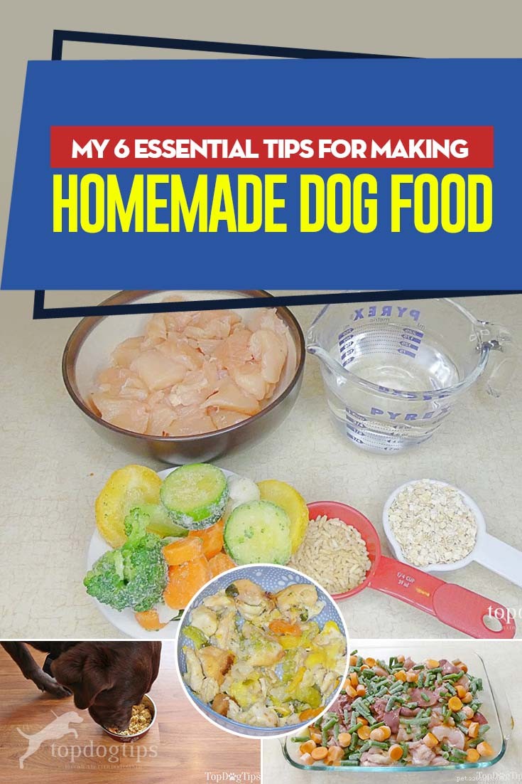 Mes 6 conseils essentiels pour faire de la nourriture pour chien maison 