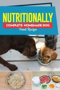 Ricetta:cibo per cani fatto in casa nutrizionalmente completo