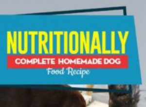 Receita:comida caseira para cães nutricionalmente completa