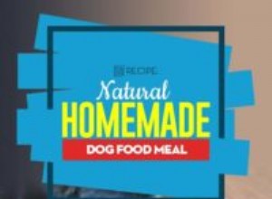 Recette :Nourriture pour chien maison naturelle 