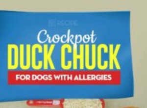 レシピ：アレルギーのある犬のためのクロックポットダックチャック 