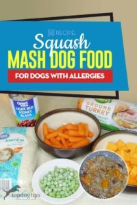 レシピ：アレルギー犬のためのスカッシュマッシュドッグフード 