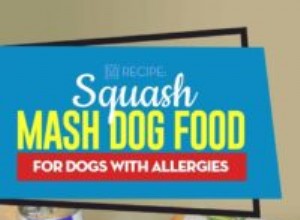 Recept:Krmivo pro psy squashové kaše pro alergické psy