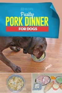 레시피:개를 위한 과일 돼지고기 저녁식사