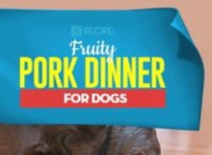 レシピ：犬のためのフルーティーなポークディナー 