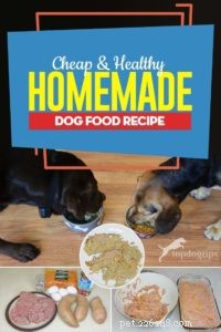 Recept:Billig och hälsosam hemlagad hundmat