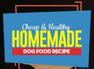 Receita:Comida de cachorro caseira barata e saudável