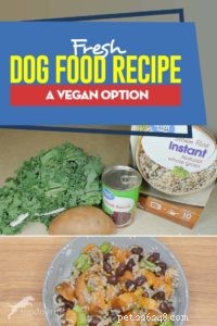 Receita de comida fresca para cachorro:uma opção vegana