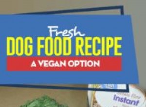 신선한 개밥 레시피:비건 채식 옵션