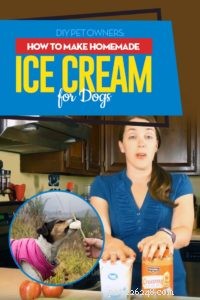 4最高の自家製犬のアイスクリームレシピ 
