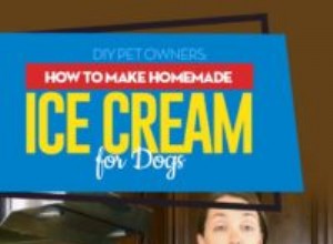 4 nejlepší recepty na domácí zmrzlinu pro psy