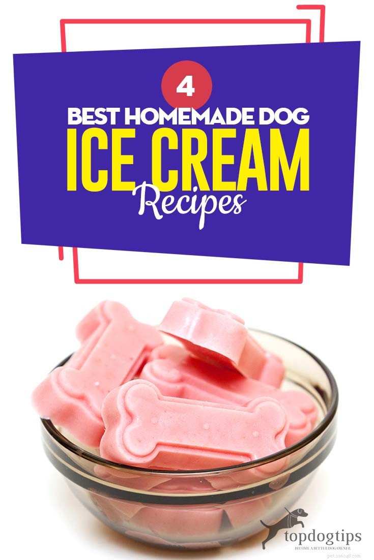 4最高の自家製犬のアイスクリームレシピ 